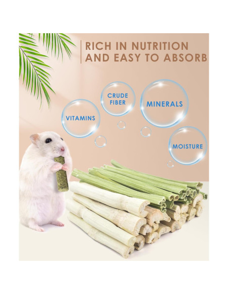 Bissap 40PCS Palitos Masticables para Conejos y Roedores