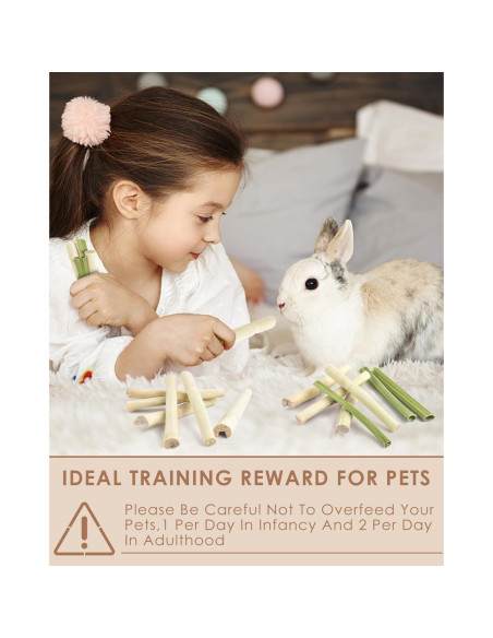 Bissap 40PCS Palitos Masticables para Conejos y Roedores