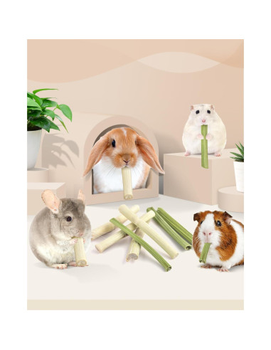 Bissap 40PCS Palitos Masticables para Conejos y Roedores