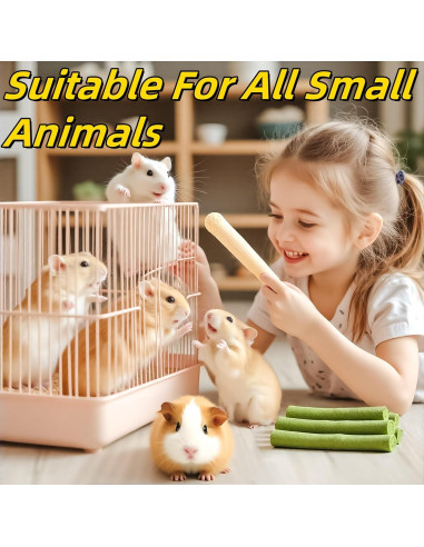 Bastón de Masticar 4 en 1 GREMBEB para Conejos 140g