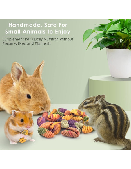 Golosinas Masticables para Conejos ERKOON 200g - Natural y Saludable