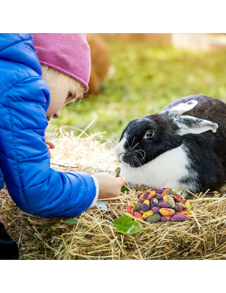 Golosinas Masticables para Conejos ERKOON 200g - Natural y Saludable