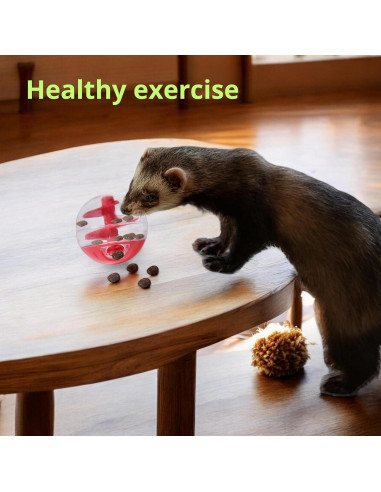 Bola de Tratamiento Interactiva para Hurones Homedy S Mini