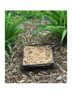 Bandeja Alimentador de Aves Aelean 20cm Metal Negra 2