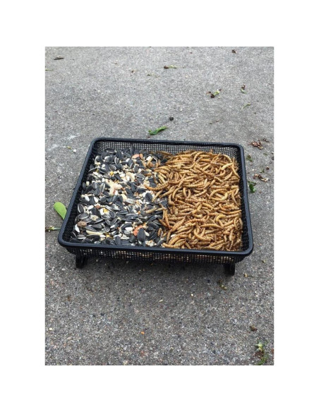 Bandeja Alimentador de Aves Aelean 20cm Metal Negra