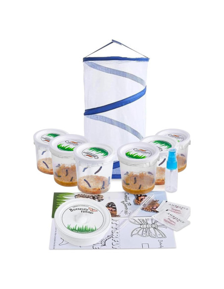 Kit de Mariposas Vivas Nature Gifts - 30 Orugas para Aula
