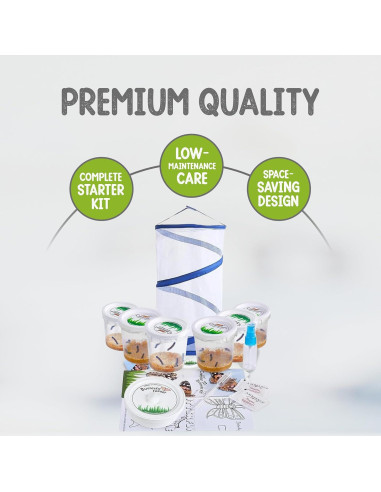 Kit de Mariposas Vivas Nature Gifts - 30 Orugas para Aula