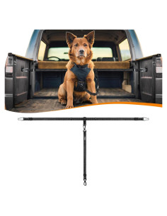 Correa de Seguridad para Perros PetBonus Ajustable Negro