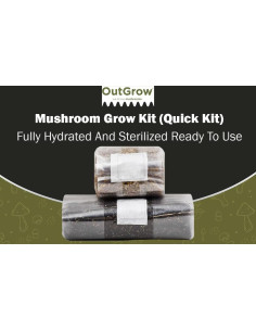 Kit de Cultivo de Champiñones Gourmet Out-Grow 1.89L Orgánico 2