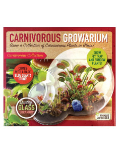 Kit de Terrario de Vidrio para Cultivar Atrapamoscas y Sundew
