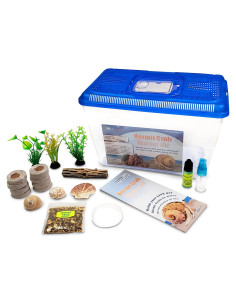 Kit Completo para Cangrejos Ermitaños Vivos Nature Gift 2 Unidades