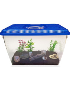 Kit Completo para Cangrejos Ermitaños Vivos Nature Gift 2 Unidades 2