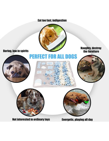 Alfombra de Olfato para Perros Stellaire Chern 100x100 cm