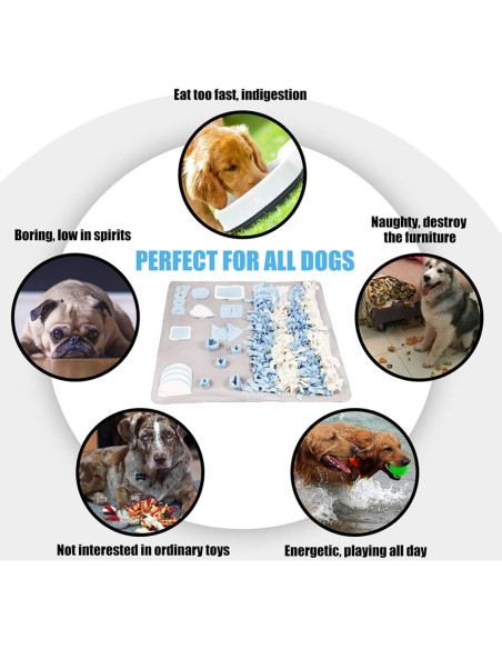 Alfombra de Olfato para Perros Stellaire Chern 100x100 cm