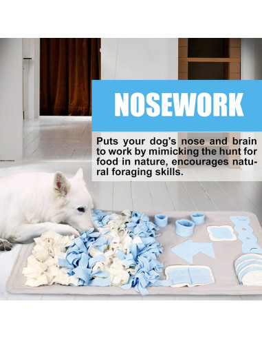 Alfombra de Olfato para Perros Stellaire Chern 100x100 cm