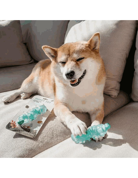 Juguete para Masticar Cachorros CHICHIPAWS 11cm Goma Nylon