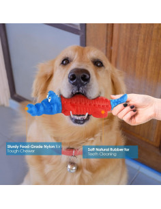 Juguete de Masticación Indestructible Petizer para Perros Medianos y Grandes 2