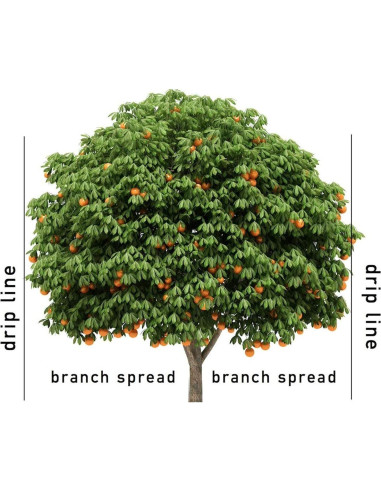 Picos de Fertilizante Jobe's 01612 para Árboles Frutales - 3 Pack