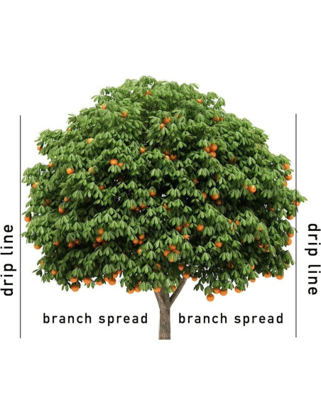 Picos de Fertilizante Jobe's 01612 para Árboles Frutales - 3 Pack