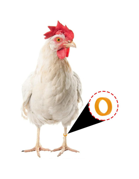 Correas de Silicona Reutilizables ONLYKXY 200 Piezas 16mm ID