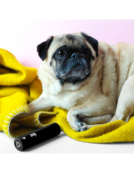 Rodillo Quitapelusas Mini Flint Negro 90 Hojas Extra Pegajosas