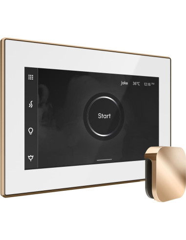 Control de Ducha de Vapor Mr Steam iSteamX Blanco Latón