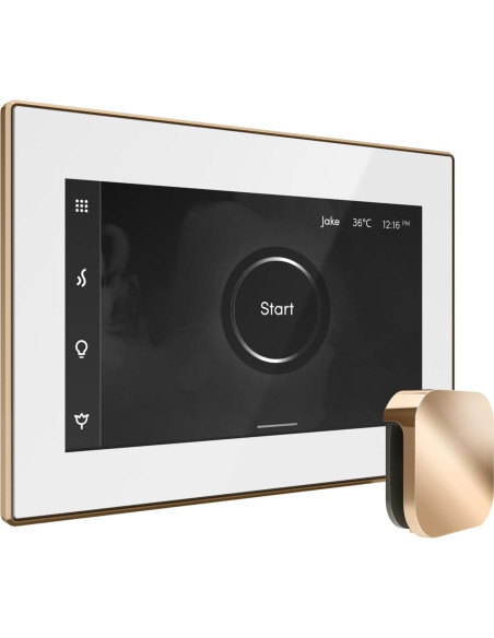 Control de Ducha de Vapor Mr Steam iSteamX Blanco Latón