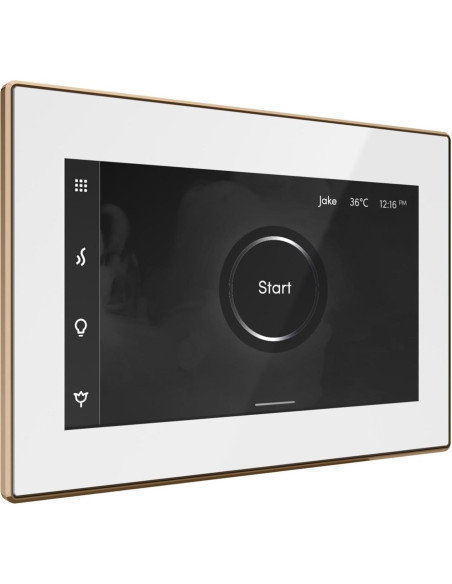 Control de Ducha de Vapor Mr Steam iSteamX Blanco Latón