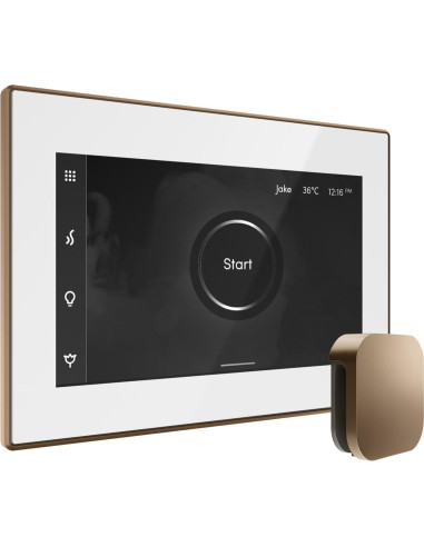 Control de Ducha de Vapor Mr Steam iSteamX Blanco Latón