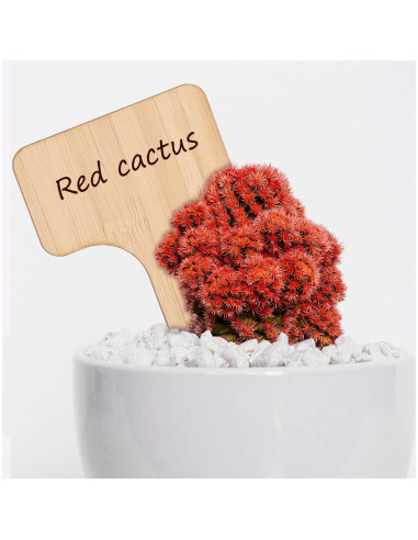 Etiquetas de Plantas de Bambú AIEX - 30 Pcs 10x6 cm