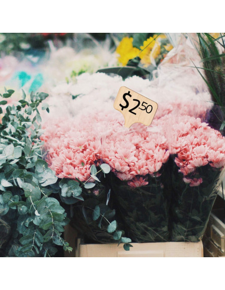 Etiquetas de Plantas de Bambú AIEX - 30 Pcs 10x6 cm