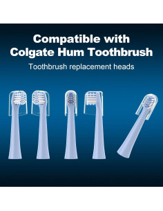 Cabezas de repuesto para cepillo eléctrico Colgate Hum - 8 unidades 2