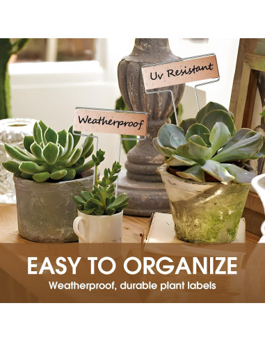25 Etiquetas de Metal Cobre Cureder 25.4 cm Jardín