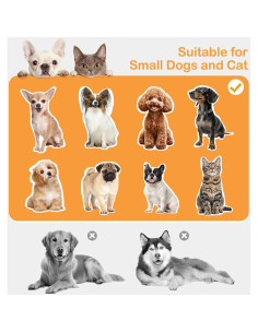 Escalera para Mascotas Clioran Gris 48x31 cm Antideslizante 2