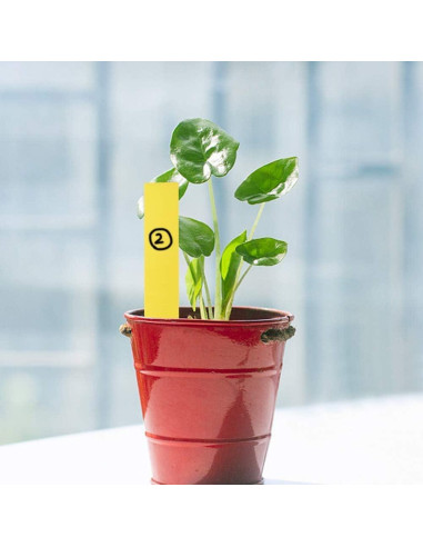 Etiquetas de Jardín KINGLAKE 500 Pcs Plástico 10x2 cm Multi