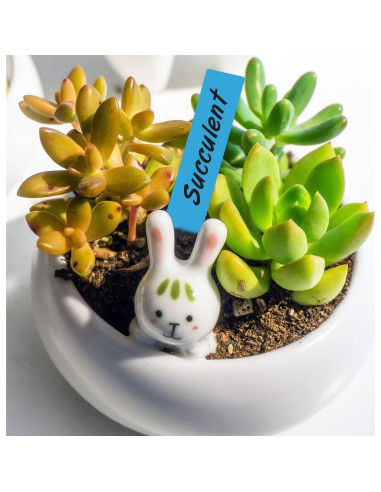 Etiquetas de Jardín KINGLAKE 500 Pcs Plástico 10x2 cm Multi