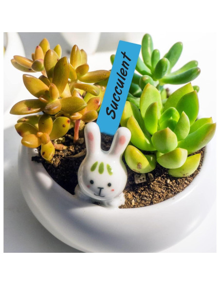 Etiquetas de Jardín KINGLAKE 500 Pcs Plástico 10x2 cm Multi