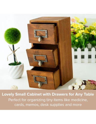 Mini Cajones de Escritorio Woodaholic - Organizador de 2 Cajones