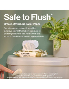 Toallitas Desechables The Honest Company 42 Unidades Piel Sensible 2