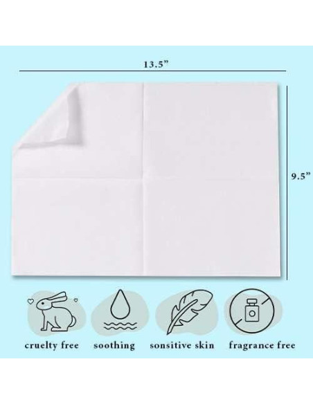 Toallitas Secas Desechables ProHeal 100 Unidades 34.3x24.1cm