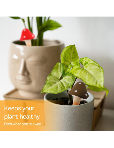 8 Picos de Riego Automático de Terracota Wutfuooo 7.6x15.2cm