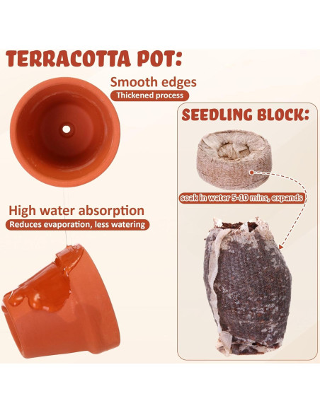 Kit de Jardinería Hushee: 36 Macetas Mini Terracota y Bloques