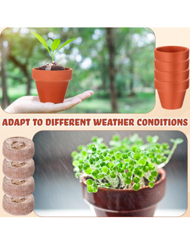 Kit de Jardinería Hushee: 36 Macetas Mini Terracota y Bloques