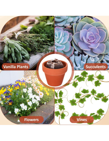 Kit de Jardinería Hushee: 36 Macetas Mini Terracota y Bloques