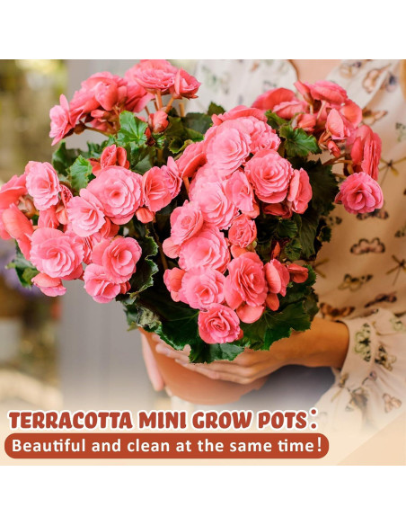 Kit de Jardinería Hushee: 36 Macetas Mini Terracota y Bloques