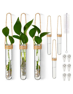 Baderke 6 Tubos de Propagación de Plantas Colgantes 14 cm