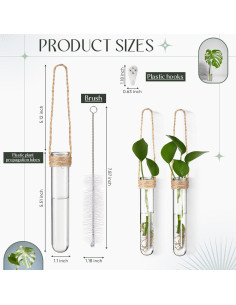 Baderke 6 Tubos de Propagación de Plantas Colgantes 14 cm 2