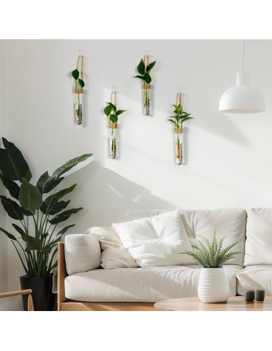 Baderke 6 Tubos de Propagación de Plantas Colgantes 14 cm