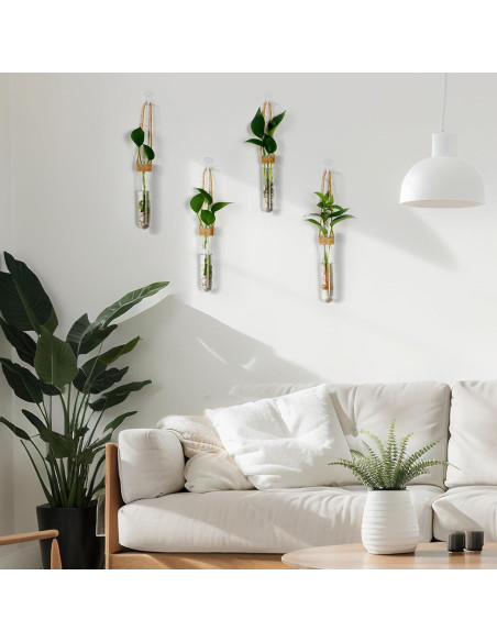 Baderke 6 Tubos de Propagación de Plantas Colgantes 14 cm