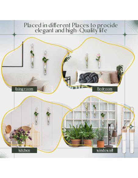 Baderke 6 Tubos de Propagación de Plantas Colgantes 14 cm